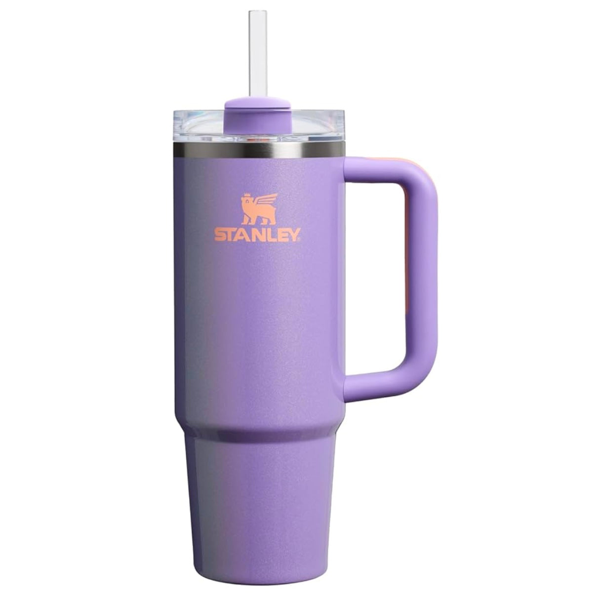 Custom Stanley Quencher