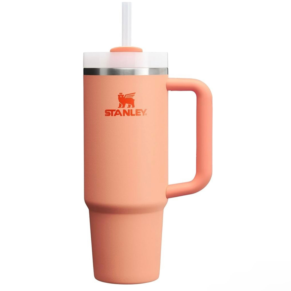 Custom Stanley Quencher